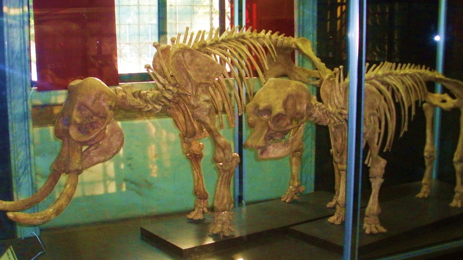 Mythical Creatures with Simple, Real World, Origins
