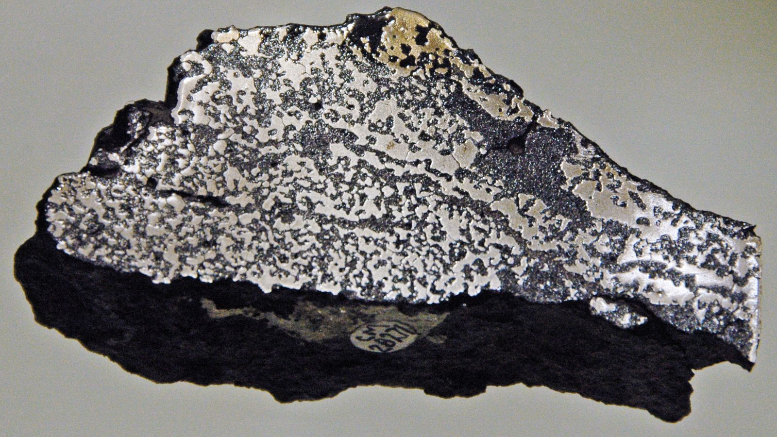 When Earth Nearly Lost Everything: Top 5 Mass Extinctions