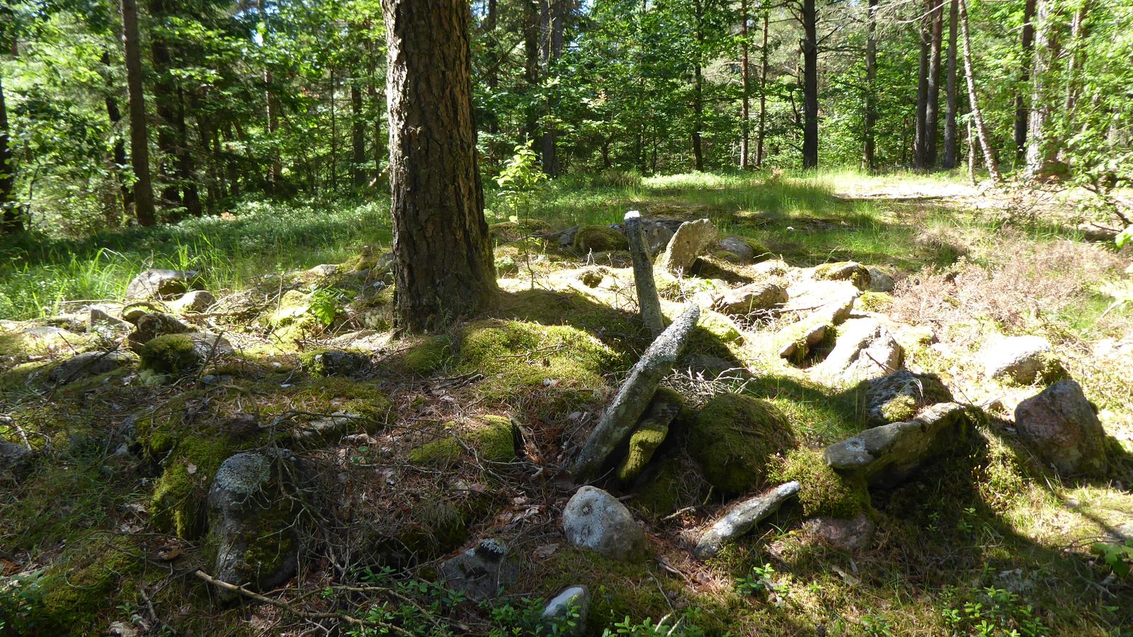 Archaeologists Just Found 1,000 Roman Artefacts in a Swiss Lake