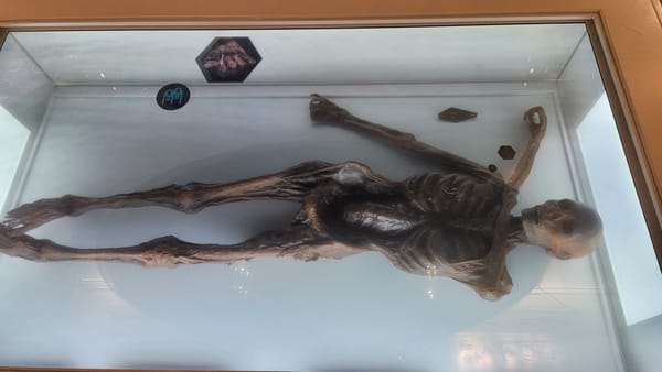 Intriguing Archaeological Finds from Prehistoric Times