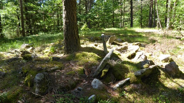 Archaeologists Just Found 1,000 Roman Artefacts in a Swiss Lake